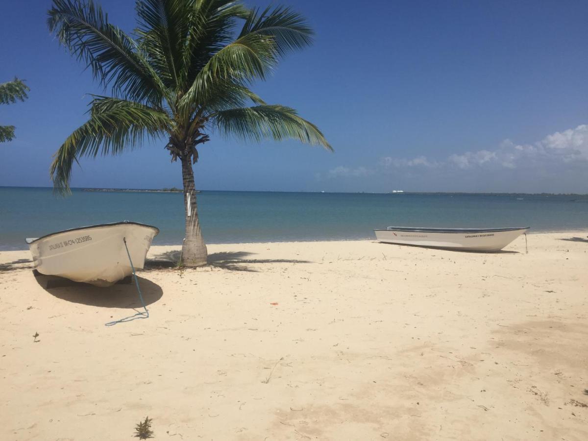 Villa Real Playa Nueva Romana Ла-Романа Екстер'єр фото